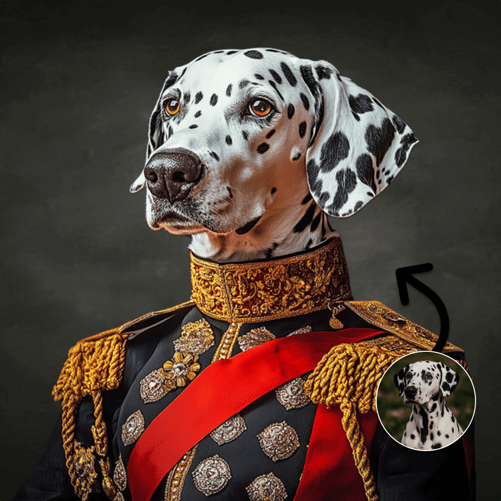 Generaal in parade-uniform